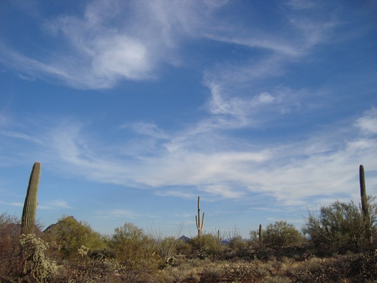 I feel closest to my grandfather in the desert. Photo by Charish Badzinski.