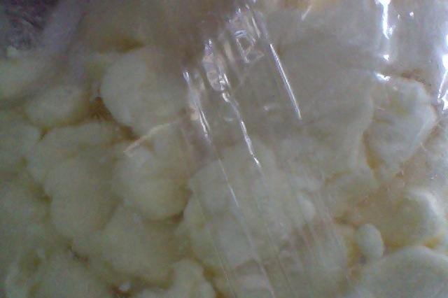 Westby cheese curds, white cheddar variety, still in their plastic home. Listen for the squeak when you bite down! Photo by Charish Badzinski.