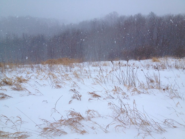 Upper Hixon Forest Trails in La Crosse, Wis. A snowstorm swept in during this 6-mile hike. It's among the best hiking conditions we've had this winter. 