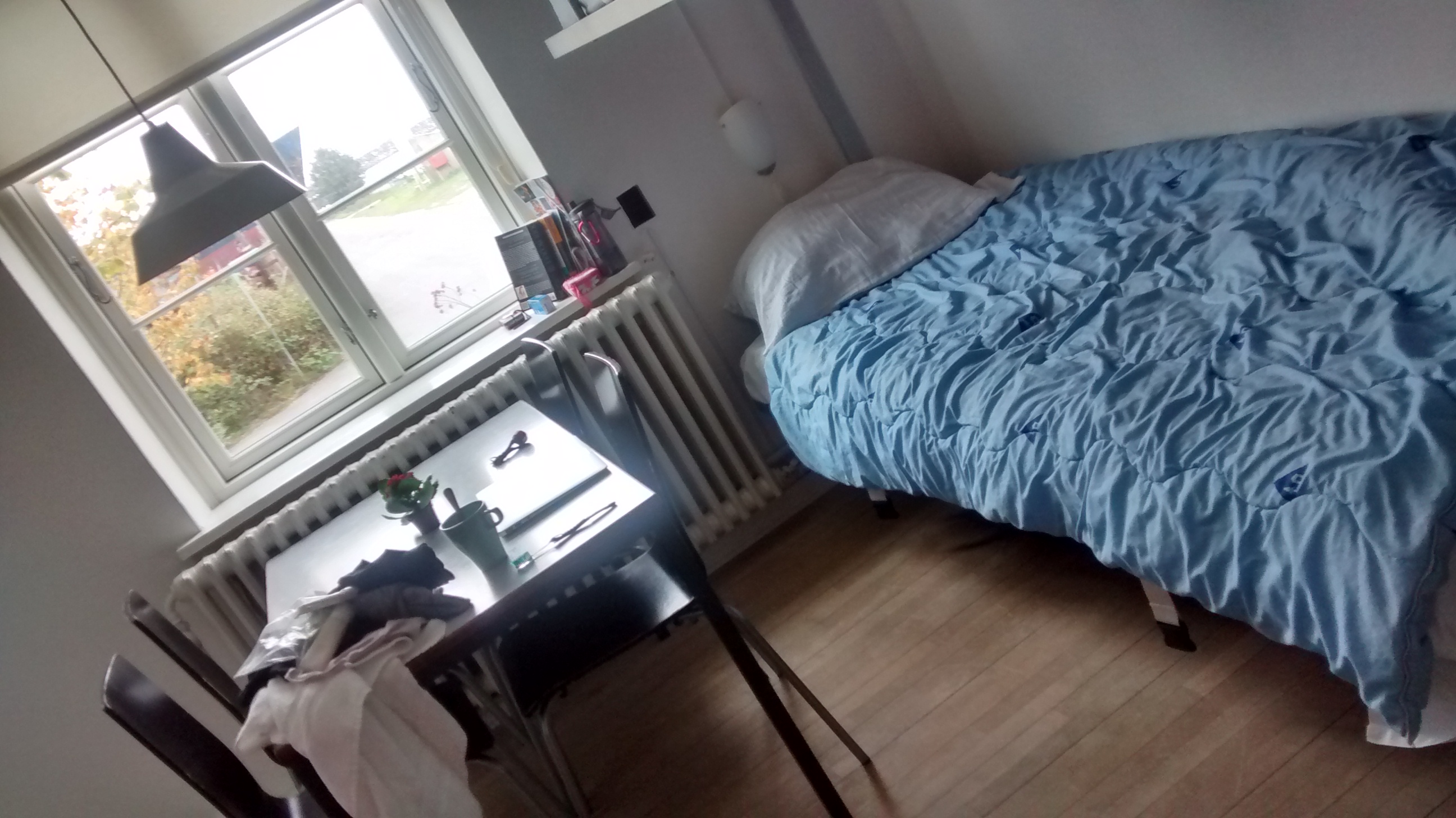 IMG_20170926_033312758_HDR