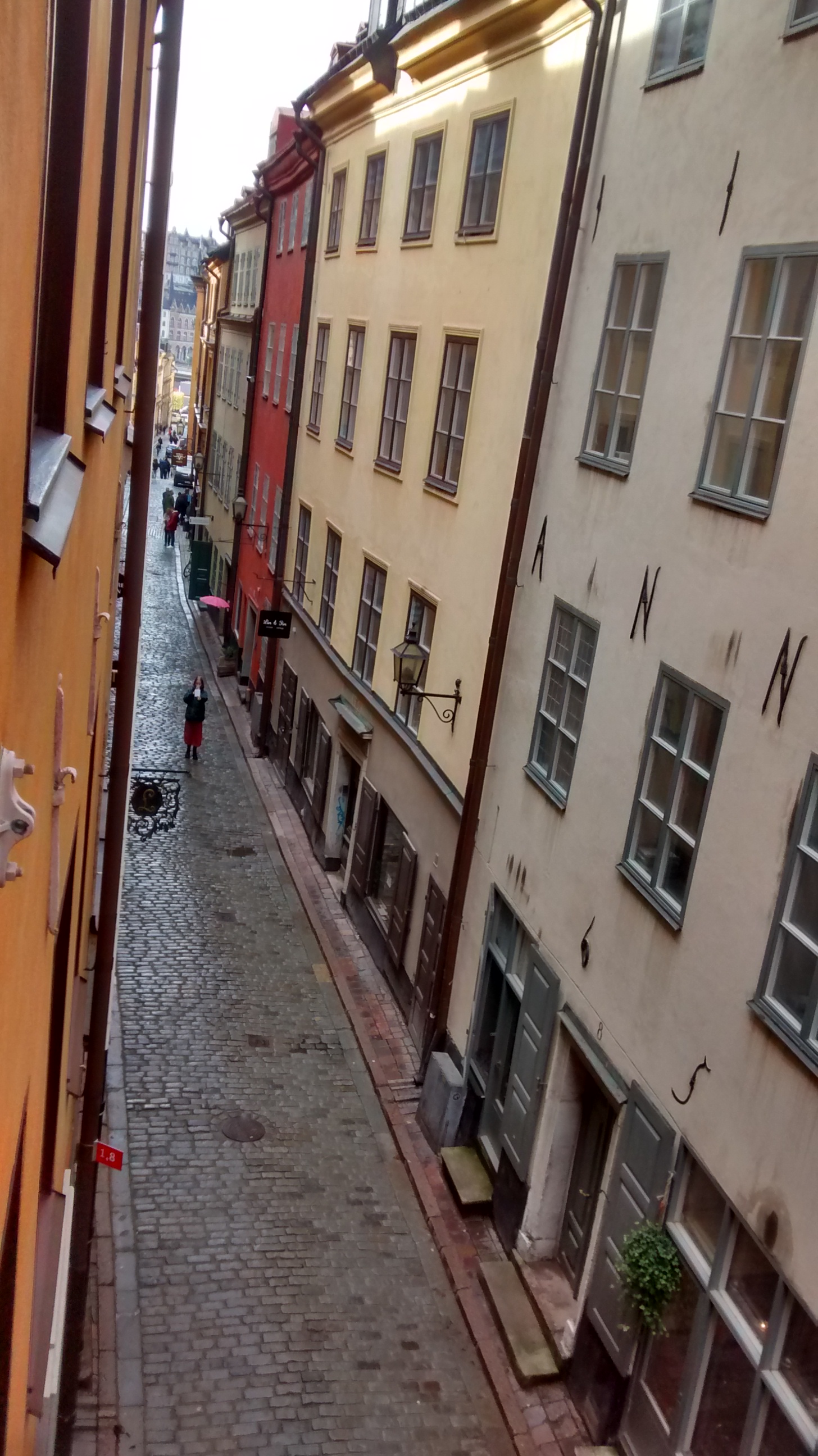 IMG_20171009_050015069_HDR