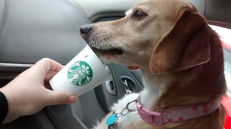 IMG_20171026_122234079