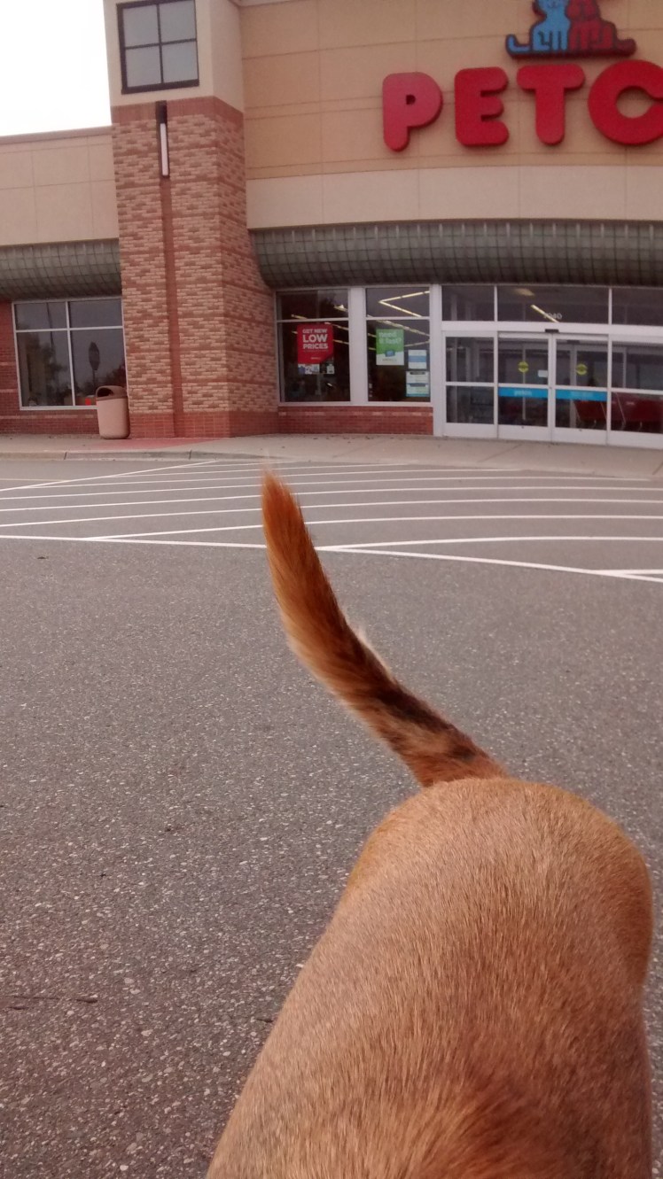 IMG_20171026_141811841