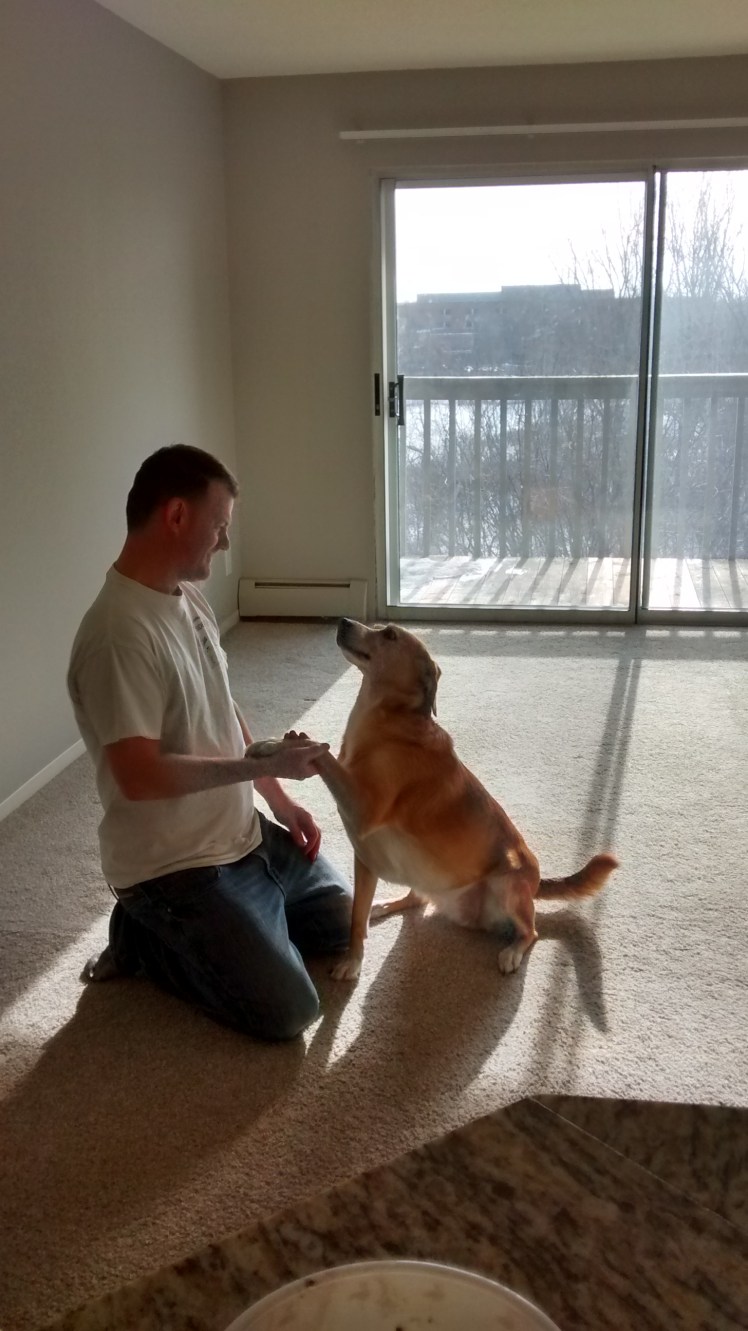 IMG_20180228_092058306_HDR