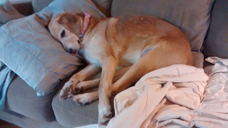 IMG_20180321_072258053