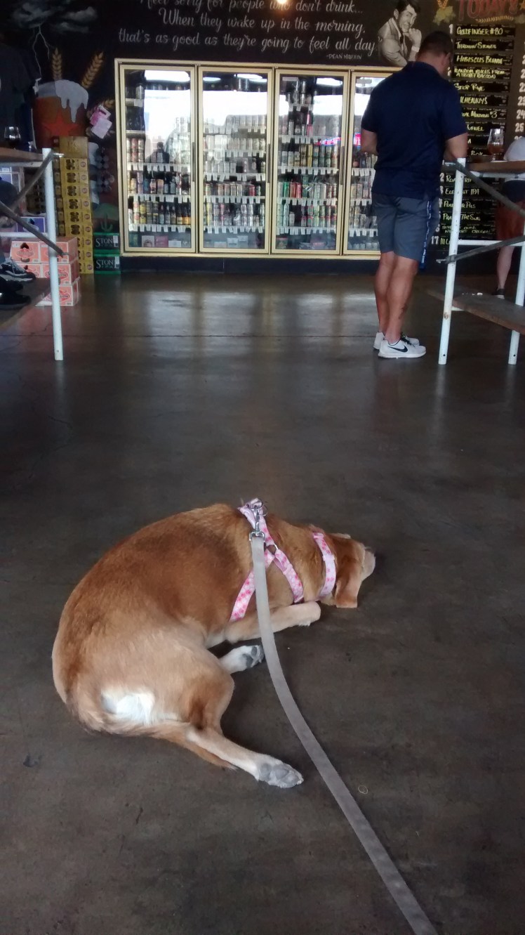 IMG_20180324_170400869