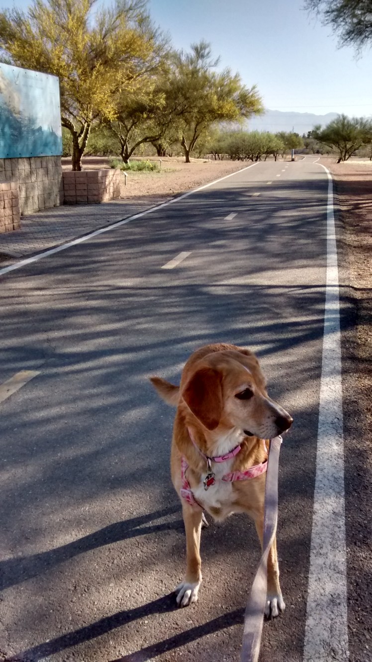 IMG_20180404_074725441_HDR