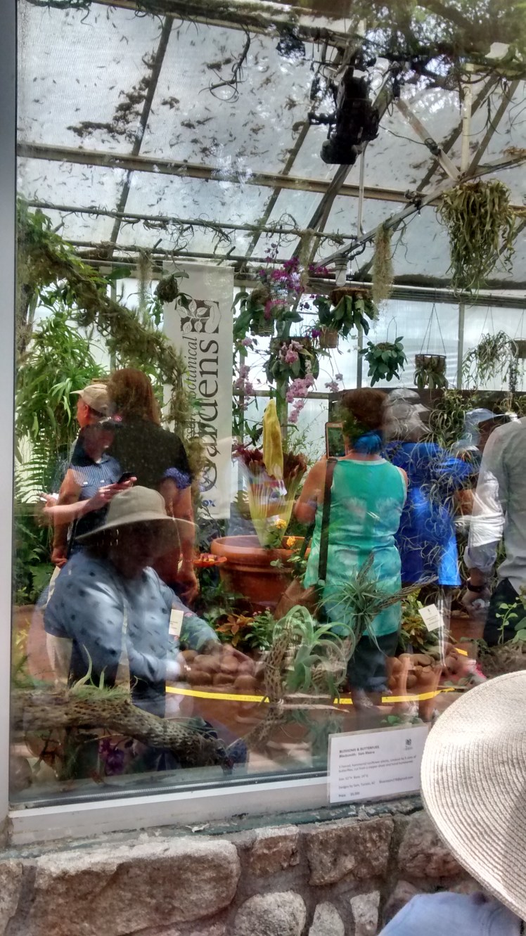 IMG_20180423_145846930_HDR