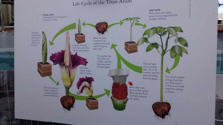 IMG_20180423_153020259