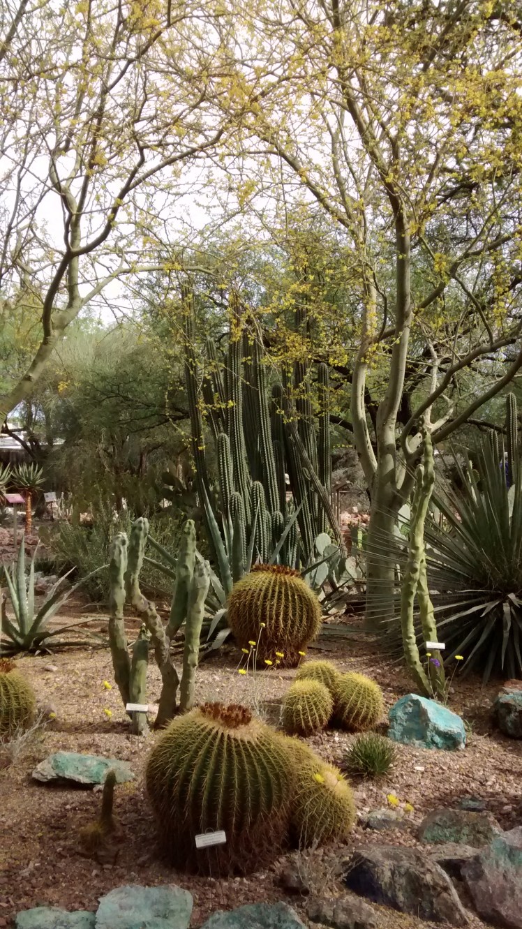 IMG_20180423_155246374