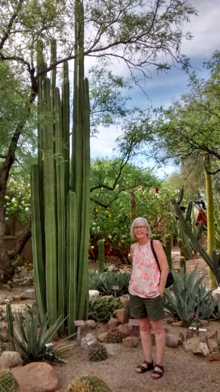 IMG_20180423_155905216_HDR