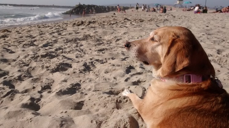 IMG_20180409_171210635