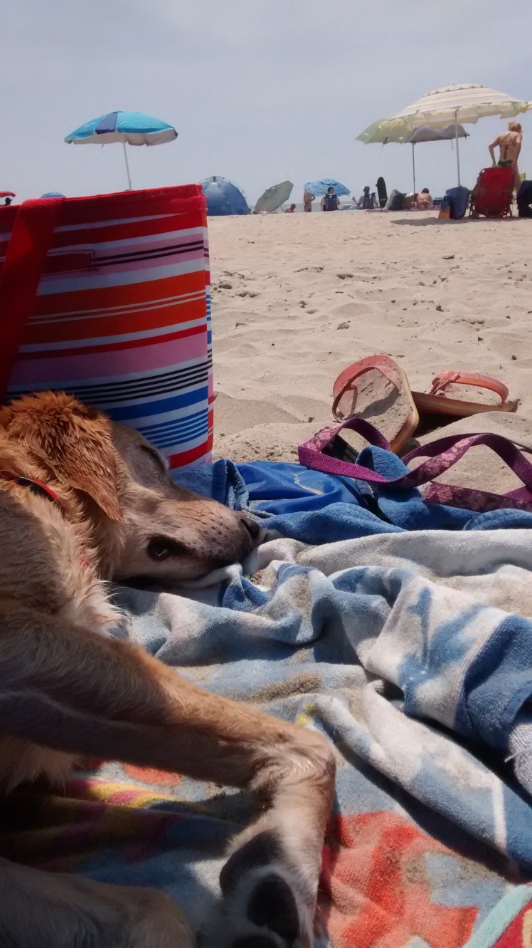 IMG_20180706_142945389