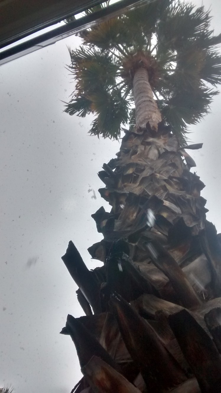 IMG_20190222_080630168_HDR