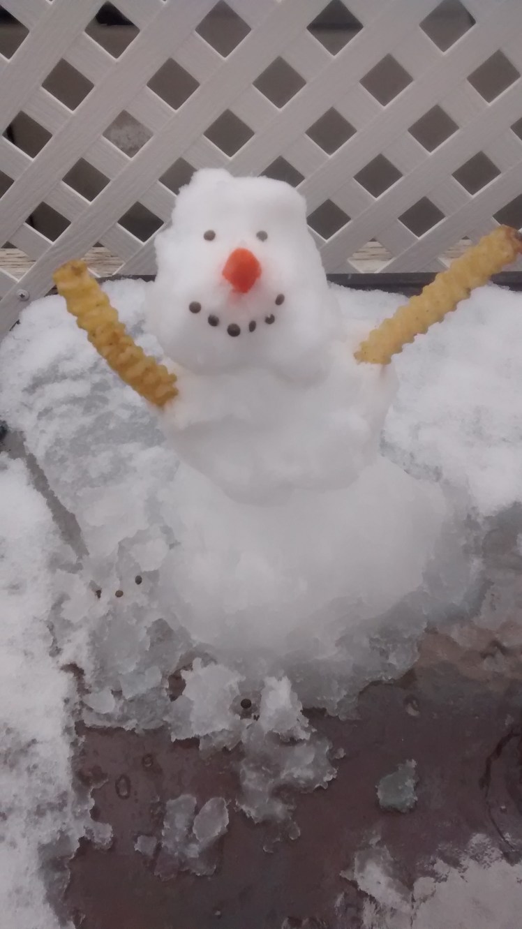 IMG_20190222_103951815