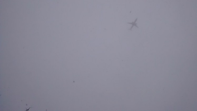 IMG_20190222_123637626