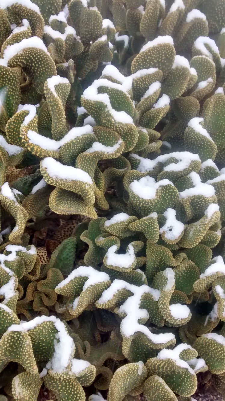 IMG_20190222_124108673_HDR