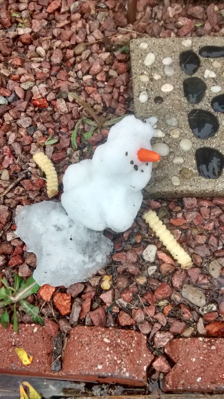 IMG_20190222_135525743_HDR