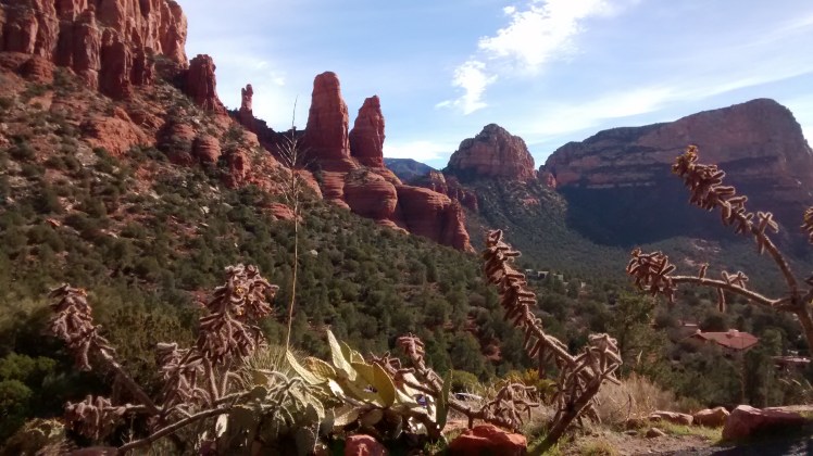 IMG_20190112_115214088