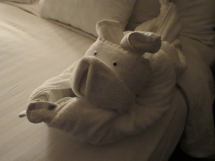 the piglet towel animal, MS Oosterdam, Holland America Cruise Line towel animal