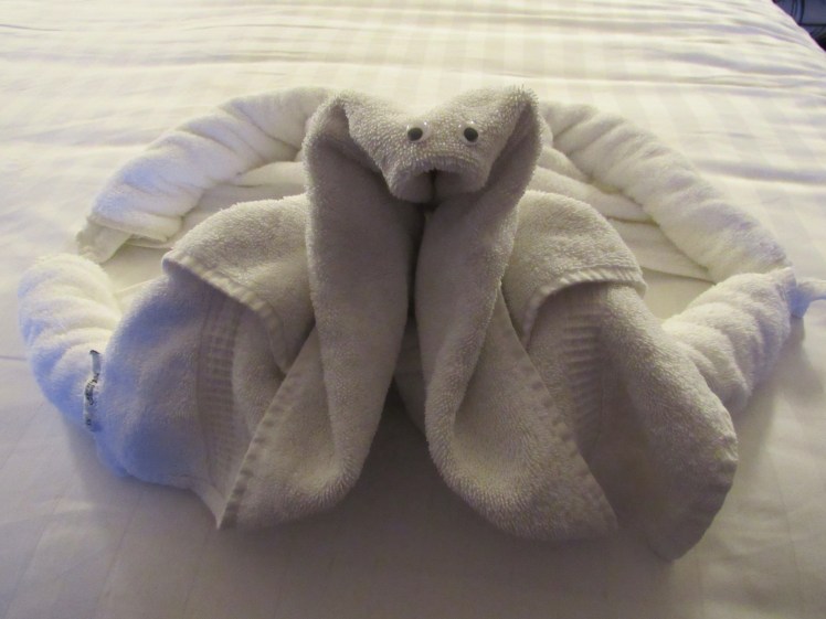 MS Oosterdam, Holland America Cruise Line towel animal