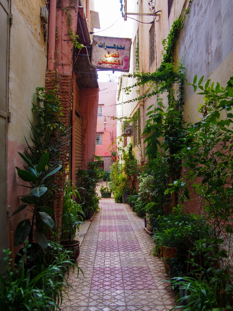 Pink alley in Morocco