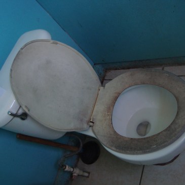 toilets in other countries