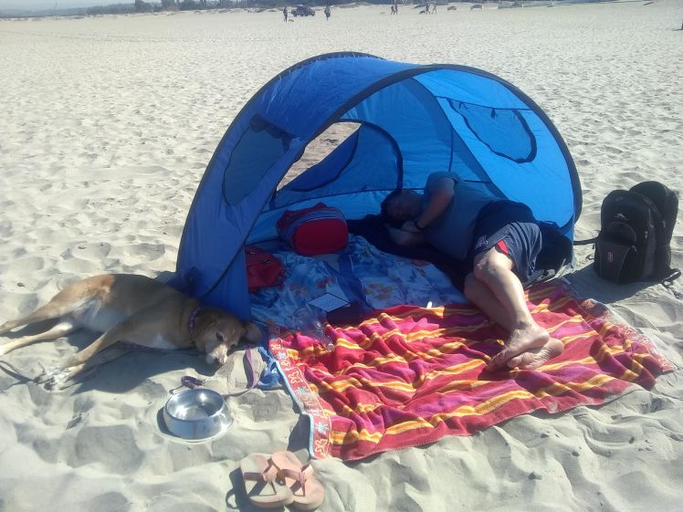 Napping on Dog Beach in Ocean Beach, San Diego, California. Photo by Charish Badzinski.