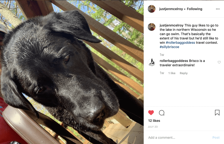 Screen Shot 2019-08-01 at 4.14.40 PM