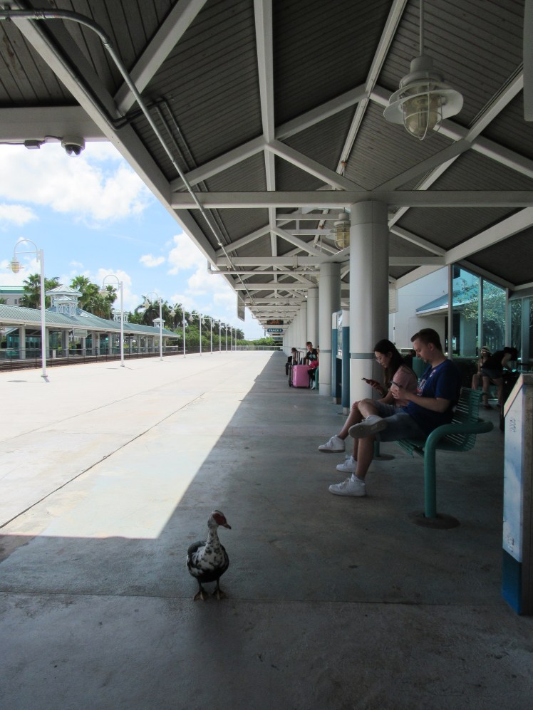 Train station: avoid getting sick from flying with these tips