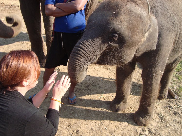 charish and elephant